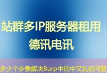 多少个步骤解决Burp中的中文乱码问题-ddos
