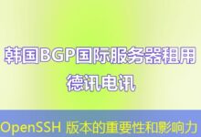 OpenSSH 版本的重要性和影响力-ddos