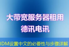 IDM设置中文的必要性与步骤详解-ddos