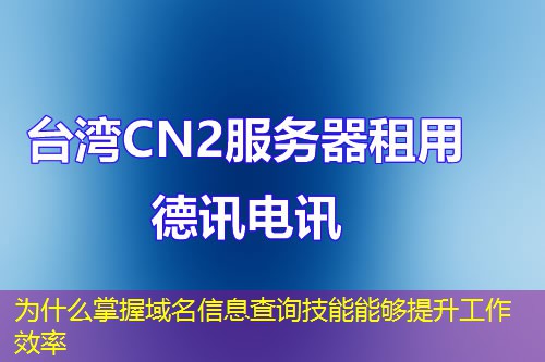 为什么掌握域名信息查询技能能够提升工作效率