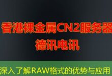 深入了解RAW格式的优势与应用-ddos