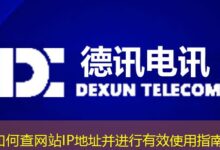 如何查网站IP地址并进行有效使用指南-ddos
