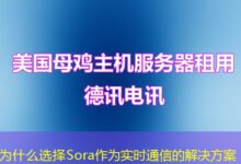 为什么选择Sora作为实时通信的解决方案-ddos