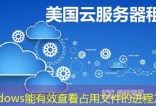 Windows能有效查看占用文件的进程方法-ddos