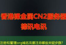 注册和管理org域名需要注意哪些关键步骤？-ddos