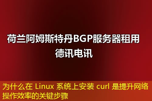为什么在 Linux 系统上安装 curl 是提升网络操作效率的关键步骤