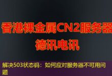 解决503状态码：如何应对服务器不可用问题-ddos