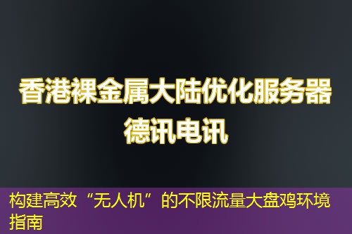构建高效“无人机”的不限流量大盘鸡环境指南