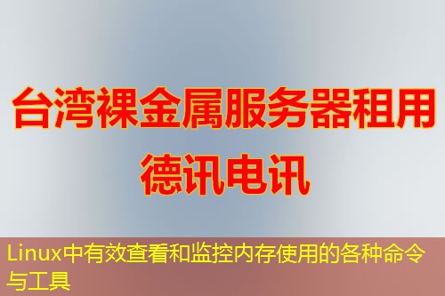 Linux中有效查看和监控内存使用的各种命令与工具