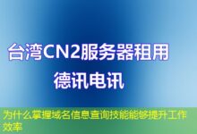 为什么掌握域名信息查询技能能够提升工作效率-ddos