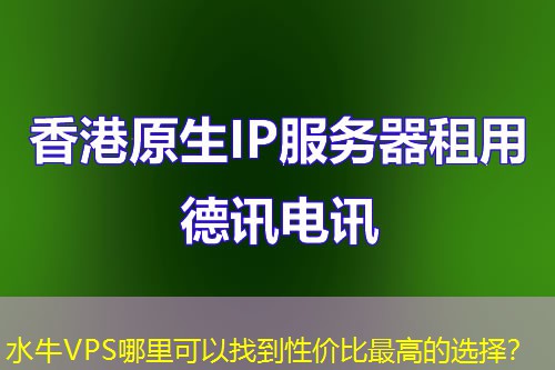 水牛VPS哪里可以找到性价比最高的选择？