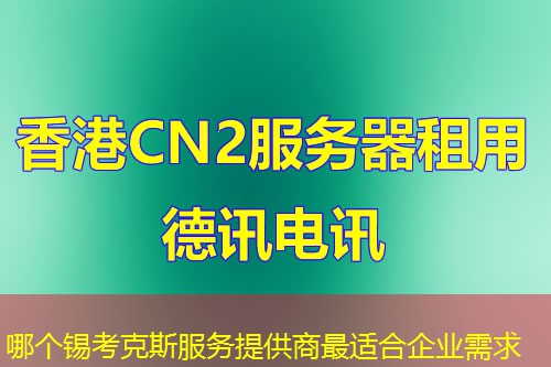 哪个锡考克斯服务提供商最适合企业需求