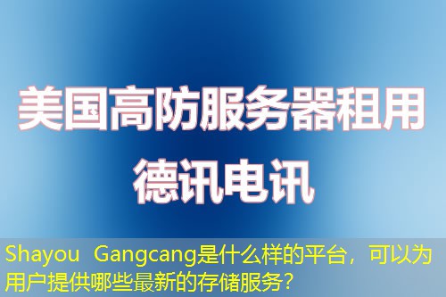 Shayou Gangcang是什么样的平台，可以为用户提供哪些最新的存储服务？
