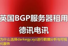 为什么选择darkegy.xyz进行数据分析与可视化服务-ddos