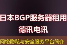 网络隐私与安全服务平台简介-ddos