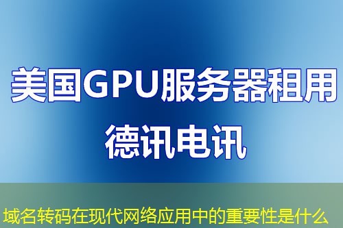 域名转码在现代网络应用中的重要性是什么