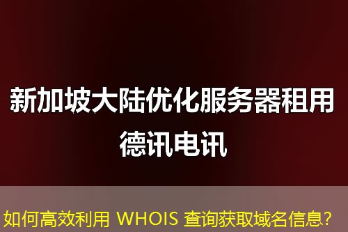 如何高效利用 WHOIS 查询获取域名信息？