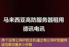 两个没有公网IP的主机通过有公网IP的服务器互联需要多少步骤-ddos