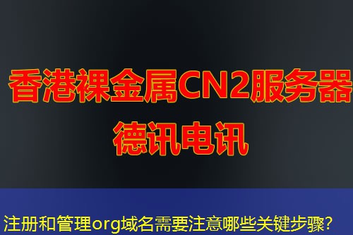 注册和管理org域名需要注意哪些关键步骤？