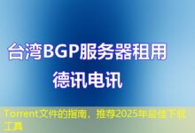 Torrent文件的指南，推荐2025年最佳下载工具-ddos