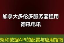 聚和数据API的配置与应用指南-ddos