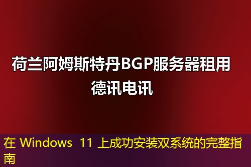 在 Windows 11 上成功安装双系统的完整指南