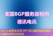 为什么使用去水印 API 可以提高视频和图片处理的效率与灵活性-ddos