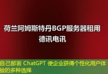 自己部署 ChatGPT 使企业获得个性化用户体验的多种选择-ddos