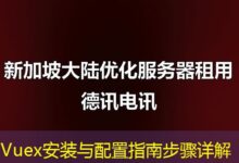Vuex安装与配置指南步骤详解-ddos
