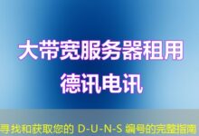寻找和获取您的 D-U-N-S 编号的完整指南-ddos