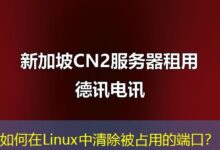 如何在Linux中清除被占用的端口？-ddos