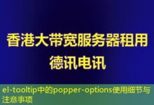 el-tooltip中的popper-options使用细节与注意事项-ddos