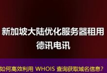 如何高效利用 WHOIS 查询获取域名信息？-ddos