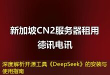 深度解析开源工具《DeepSeek》的安装与使用指南-ddos