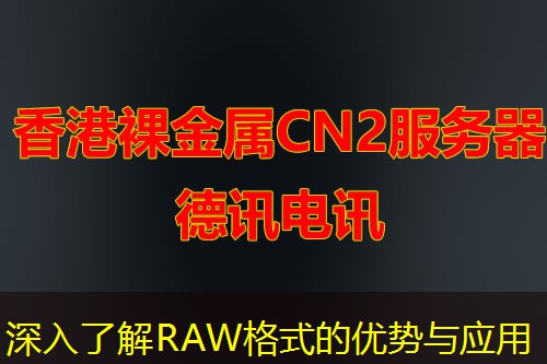 深入了解RAW格式的优势与应用