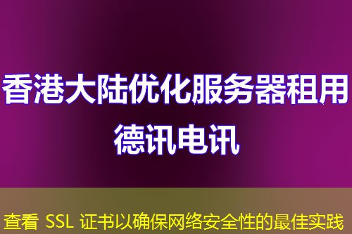 查看 SSL 证书以确保网络安全性的最佳实践