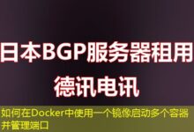 如何在Docker中使用一个镜像启动多个容器并管理端口-ddos
