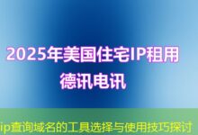 ip查询域名的工具选择与使用技巧探讨-ddos