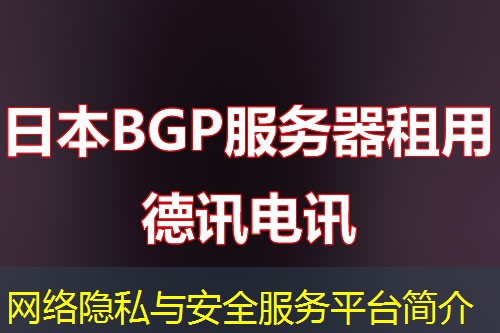 网络隐私与安全服务平台简介