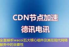 全面解析wacoi五大核心组件及其在现代网络服务中的重要性-ddos