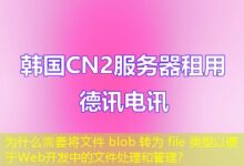 为什么需要将文件 blob 转为 file 类型以便于Web开发中的文件处理和管理？-ddos