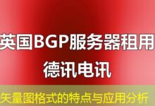 矢量图格式的特点与应用分析-ddos
