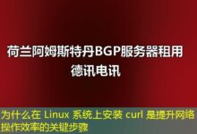 为什么在 Linux 系统上安装 curl 是提升网络操作效率的关键步骤-ddos