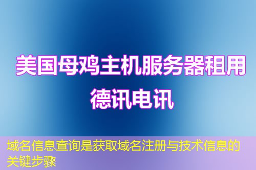域名信息查询是获取域名注册与技术信息的关键步骤
