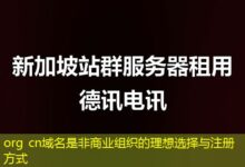 org cn域名是非商业组织的理想选择与注册方式-ddos
