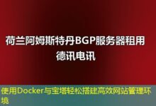 使用Docker与宝塔轻松搭建高效网站管理环境-ddos
