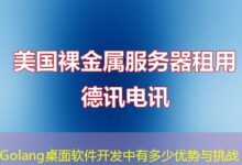 Golang桌面软件开发中有多少优势与挑战-ddos