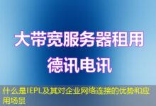 什么是IEPL及其对企业网络连接的优势和应用场景-ddos