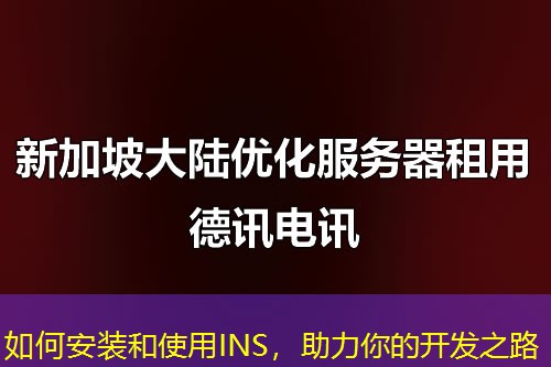 如何安装和使用INS，助力你的开发之路