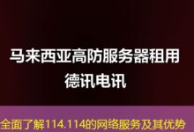 全面了解114.114的网络服务及其优势-ddos